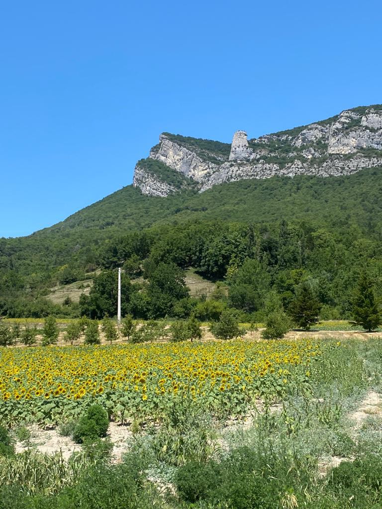 Paysage Drôme Provençale